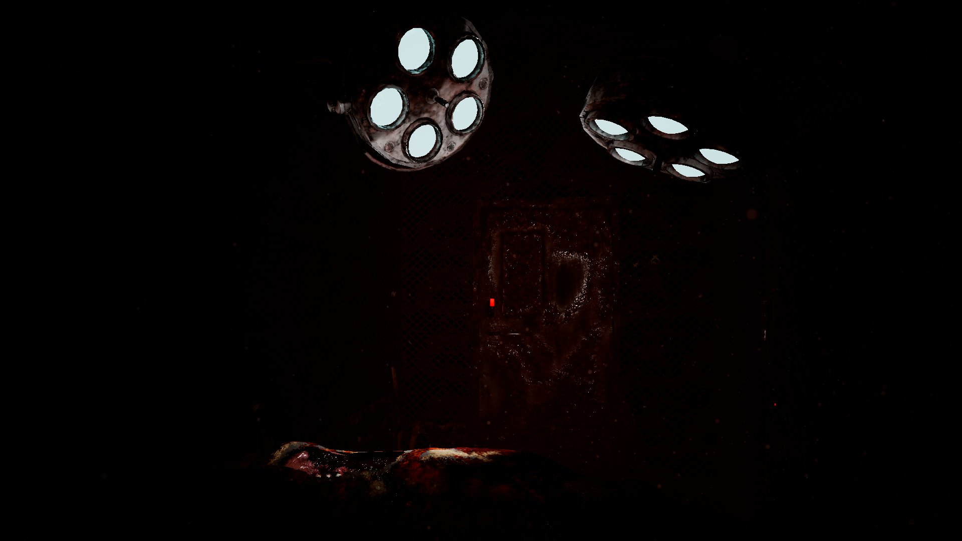 Firefly. Photo 1 Firefly. Photo 1